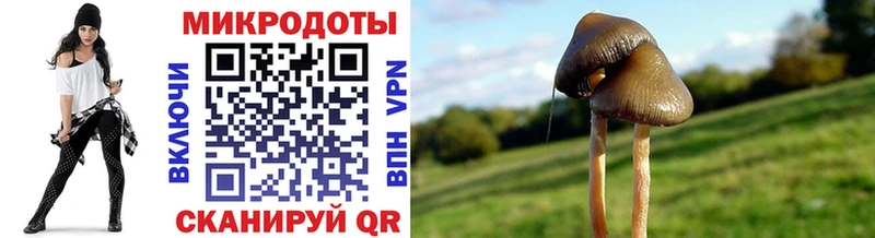 Псилоцибиновые грибы мицелий  Красково 